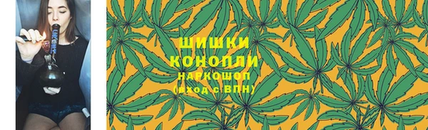 стафф Горнозаводск