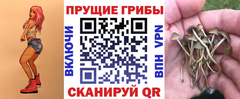 Галлюциногенные грибы Cubensis  где можно купить наркотик  Наро-Фоминск 